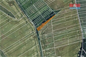 Prodej lesa, 1278 m², Mouřínov - 4