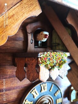 Hezke, kukacky, Schwarzwald - 4