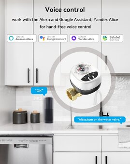 Vodní Ventil DN25 eWeLink Smart Zigbee - 4