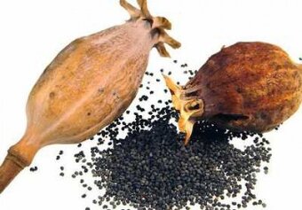 Bílý a modrý mák. - 4