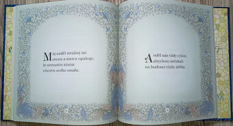 Sri Chinmoy - Andělé a víly - 4