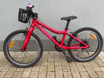 Amulet Tomcat 20 - 4