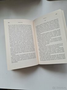 Dračí oči - Stephen King - 4