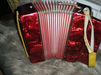 Harmonika Delicia Popular - 4