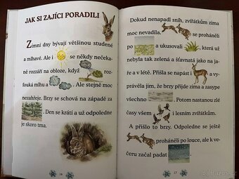 CO DĚLAJÍ ZVÍŘÁTKA - ZIMA - 4