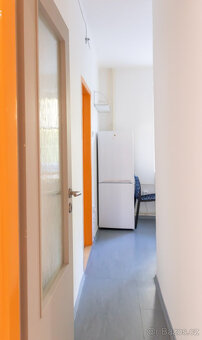 Pronájem bytu 2+1, Pod Lipami, Žižkov, 21300 Kč/měs, 53 m2 - 4