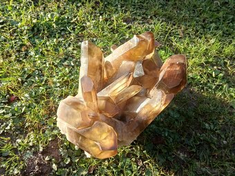 Citrin , velká drůza 6kg - 4