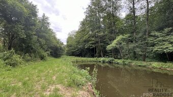 Prodej krásného pozemku s rybníkem na okraji lesa – 6 531 m² - 4