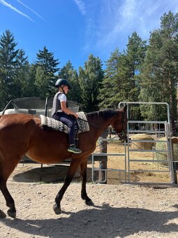 Jezdecký kroužek Ranč Esencis - 4