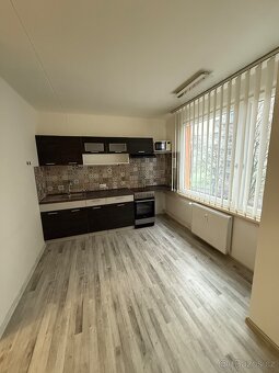 Pronajmu byt 1+1 - 4