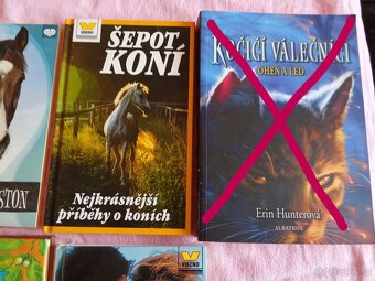 Mix knih pro dívky 4 - 4