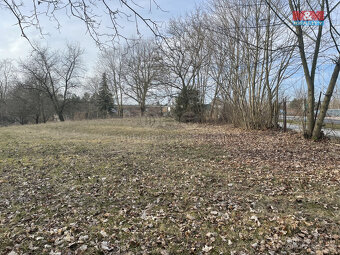 Prodej ovocného sadu, 1184 m², Nová Ves - 4