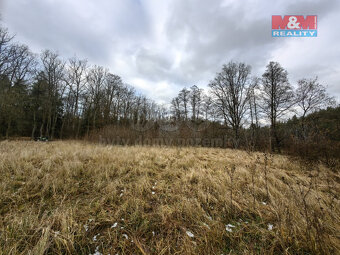 Prodej pole, 4752 m², Borohrádek - 4