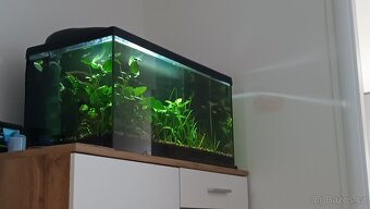 Akvárium 128l - 4