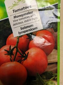 Sazenice rajčat - Moneymaker - 4