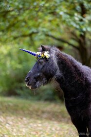 Jednorožčí čelenky na koně - 4