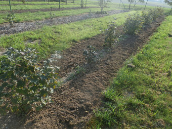 MT7-032 UNI systém - 4