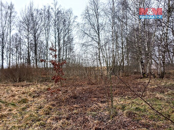 Prodej pozemku k bydlení v Staré Vodě, 2966 m2 - 4