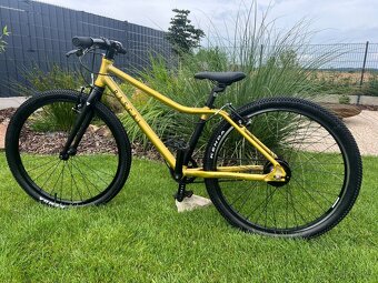 Horské kolo Rascal 24” Sturmer Archer 5s gold zlatá UNI - 4