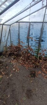 Prodám skleník - 4