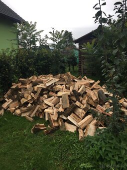 Palivové dřevo Měkké - 4