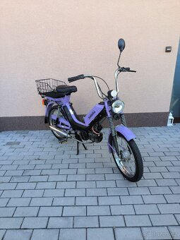 Babetta - 4
