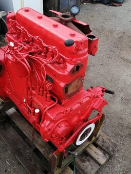 Koupim motor, blok motory D 65 traktor bagr Belorus EO 2621 - 4