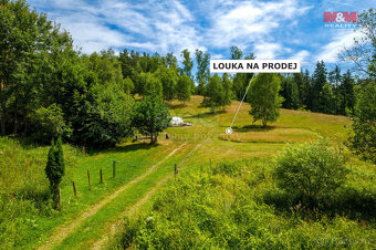 Prodej komerčního pozemku, 8531 m², Dlouhý Most - 4