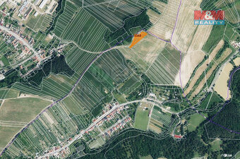 Prodej vinice, 1000 m², Ježov - 4
