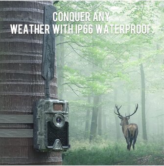 Fotopast Winghome 4G Wildkamera 480ace - 4