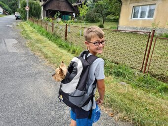 Batoh na psa do 5 kg - 4