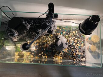 Želvy + akvárium - 4