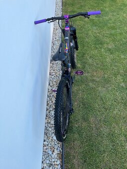 Canyon Torque WMN AL 6.0 - 4