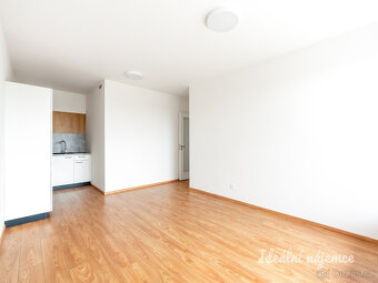 Pronájem bytu 2+kk, Zimova, Kamýk, 22500 Kč/měs, 49 m2 - 4