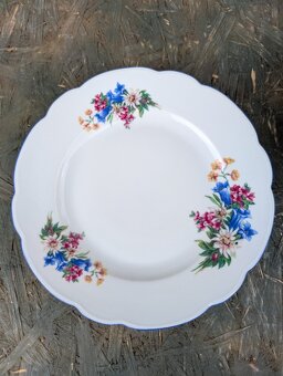 2ks vintage talíře, Alpeflora, zn.Altrohlau MZ. - 4