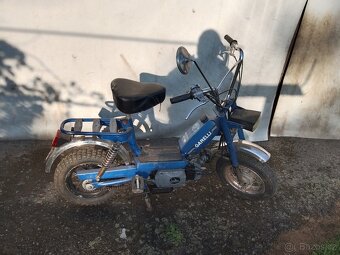 Moto-veterán-moped-mini moto-Garelli Katia - 4