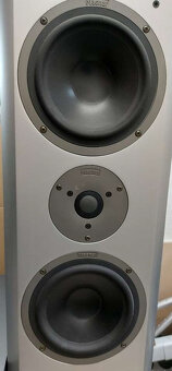 MAGNAT VECTOR 55, sloupové reproduktory, 1 výškáč nefunguje - 4