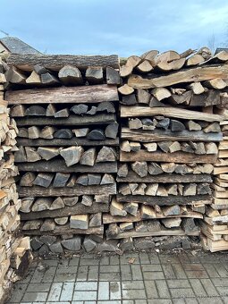 Palivové dřevo tvrdé - 4