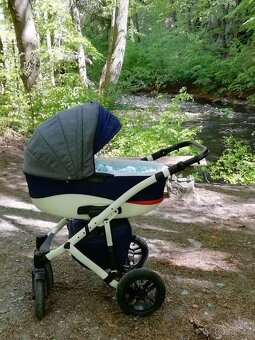 Kočárek - Camarelo sirio - 4