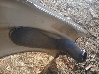 Blatník a šnorchl - 4