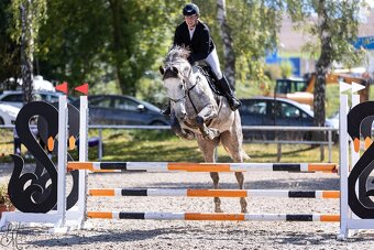 Sikovna mlada klisna - 4