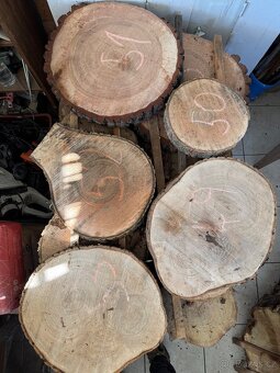 Akátové / jasanové Koláče , příčné rezy - 4