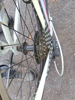 Dětské kolo AREZZO 20” GIRL - 4