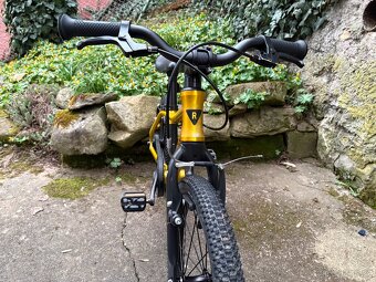 Kolo Rascal 16 Zlaté - 4