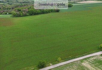 Prodej pole v k.ú. Skuhrov u Mělníka - 4