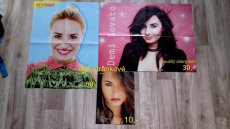 Prodám sbírku plakátů DEMI LOVATO (2. část) - 4