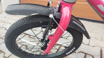 PERFORMANCE LS PRO - 4