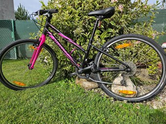 Kolo Specialized Hotrock 24" - 4