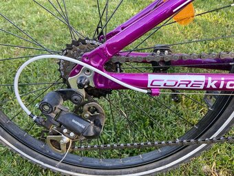 Core Nipper 24 - 4