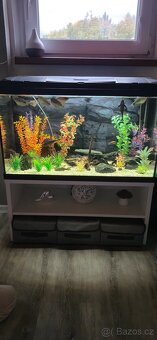 Akvarium 120l + prislusenstvi - 4